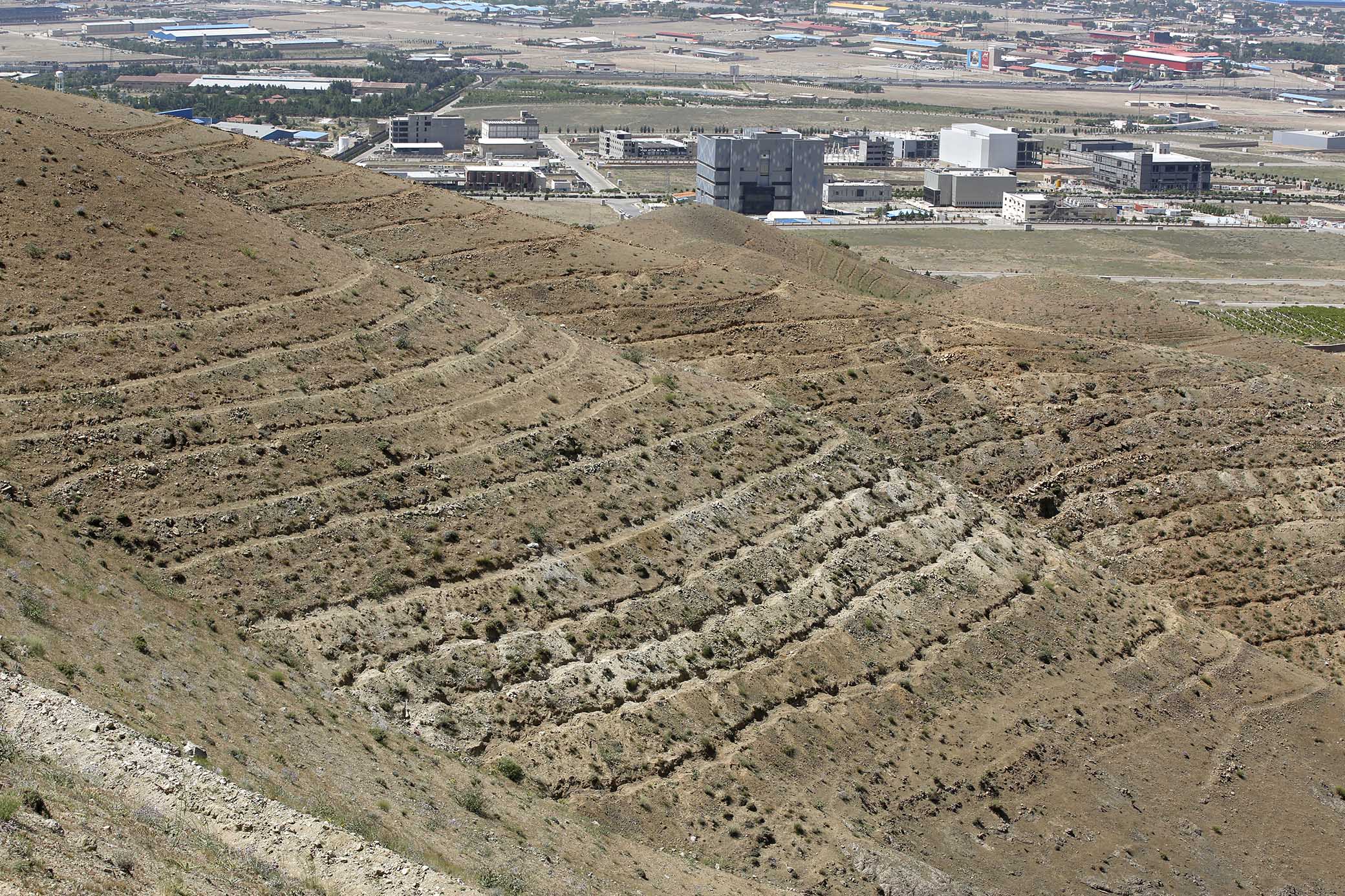 شرکت ها